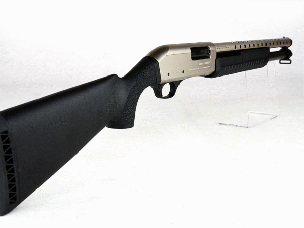 FABARM SDASS Trainer Nickel (2) FABARM SDASS Trainer Nickel