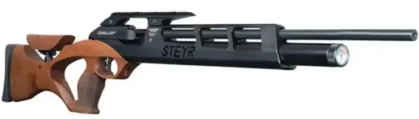 imgi_4_server Steyr Sport Match Air Rifle Challenge Hunting