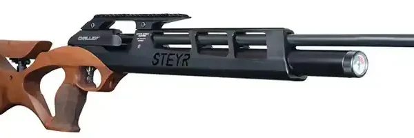 imgi_4_server Steyr Sport Match Air Rifle Challenge Hunting