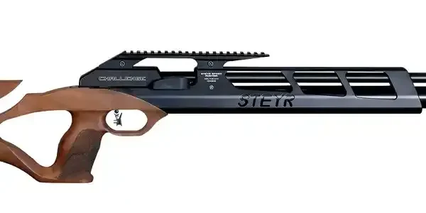 Steyr Sport Match Air Rifle Challenge Hunting Steyr Sport Match Air Rifle Challenge Hunting