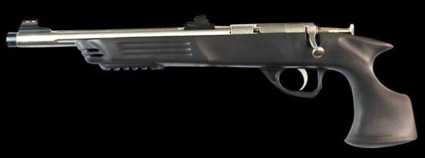 Crickett Adult Pistol .22 LR 10.50" Barrel 1-Round William Fire Sights Crickett Adult Pistol .22 LR 10.50" Barrel 1-Round William Fire Sights