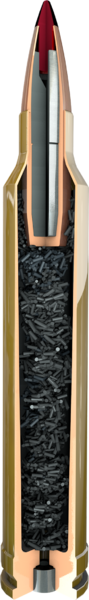 1410991505-Precision-Hunter-ammunition-illustration-cutaway.0838bdf4_c7d36d6b-b0a4-45b1-a28e-015de9f50036.png Hornady Precision Hunter 7Mm / 175Gr