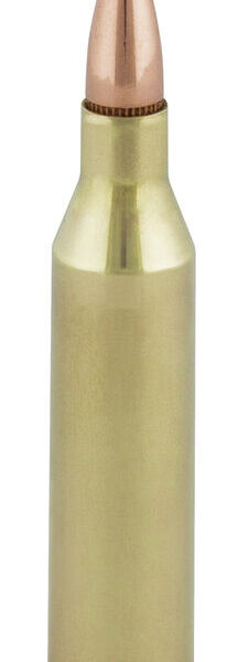 243B_Cartridge_C.jpg Federal Power-Shok .243Win / 100gr