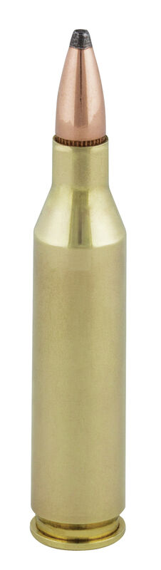 243B_Cartridge_C.jpg Federal Power-Shok .243Win / 100gr