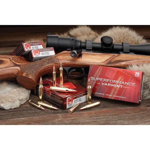 lg_26881superformance_varmint_beauty.jpg Hornady V-Max Superformance .243 Win / 75Gr