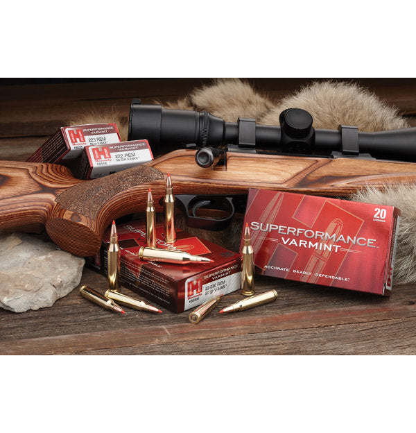 lg_26881superformance_varmint_beauty.jpg Hornady V-Max Superformance .243 Win / 75Gr