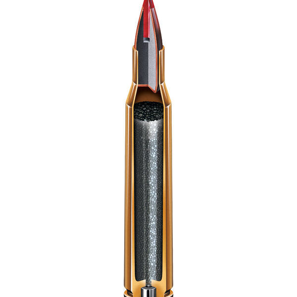 lg_26888superformance_varmint_cutaway_a117ad20-2e0d-4c67-b617-3249f378738b.jpg Hornady V-Max Superformance .243 Win / 75Gr