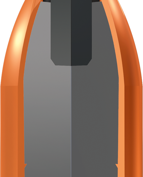 x450ds-cutaway_1-large.png Winchester Deer Season XP .450 Bushmaster / 250Gr